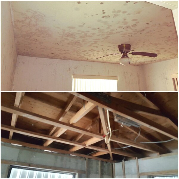 Before & After Mold Remediation in Port St. Lucie, FL (1)
