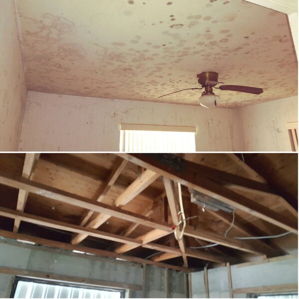 Mold Remediation by United Water Restoration Group of Port St Lucie